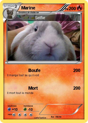Pokemon Marine