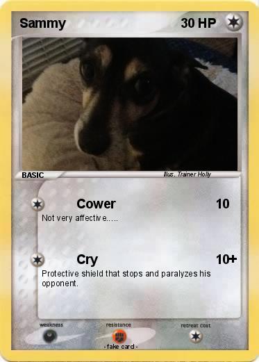 Pokemon Sammy