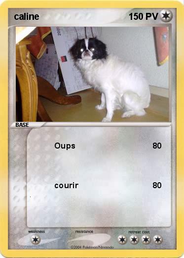 Pokemon caline  