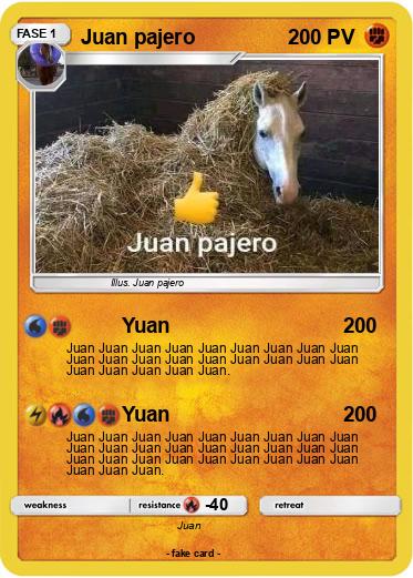 Pokemon Juan pajero