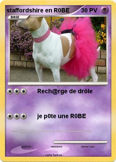 Pokemon staffordshire en R0BE