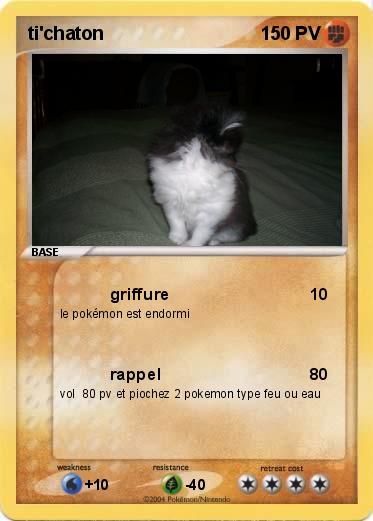 Pokemon ti'chaton
