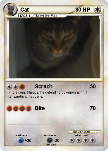 Pokemon Cat
