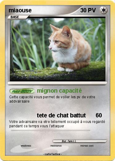 Pokemon miaouse
