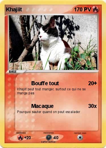 Pokemon Khajiit
