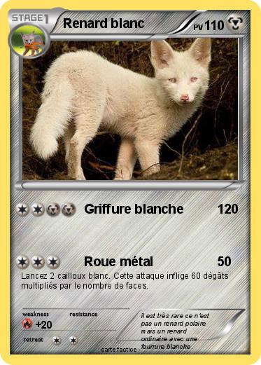 Pokemon Renard blanc
