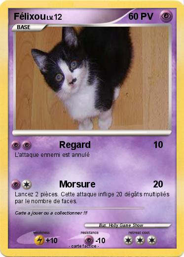 Pokemon Félixou