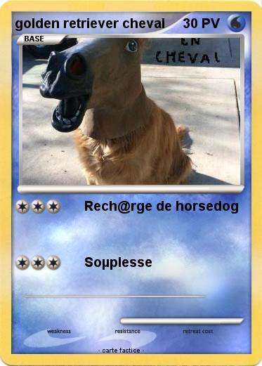 Pokemon golden retriever cheval