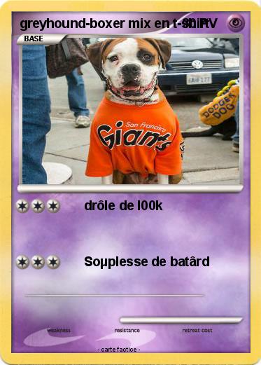 Pokemon greyhound-boxer mix en t-shirt