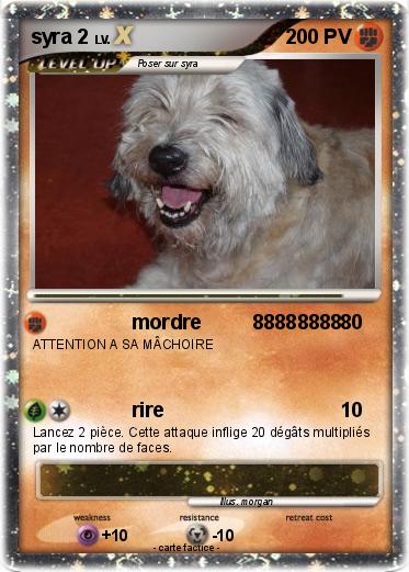 Pokemon syra 2