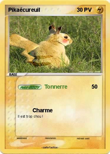 Pokemon Pikaécureuil