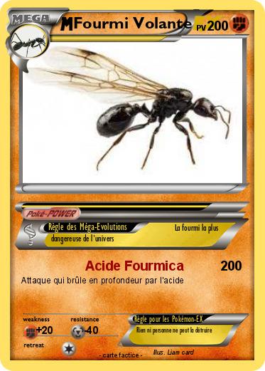 Pokemon Fourmi Volante
