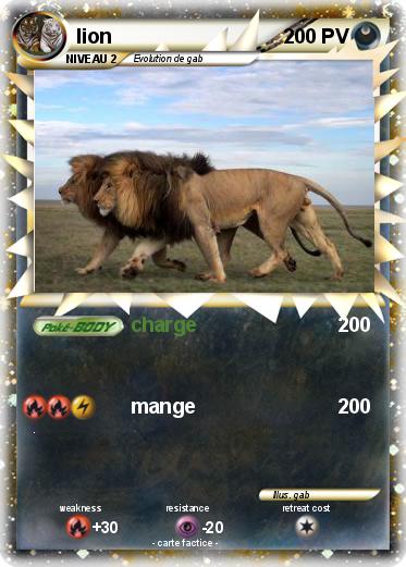 Pokemon lion
