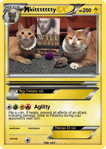 Pokemon kittttttty