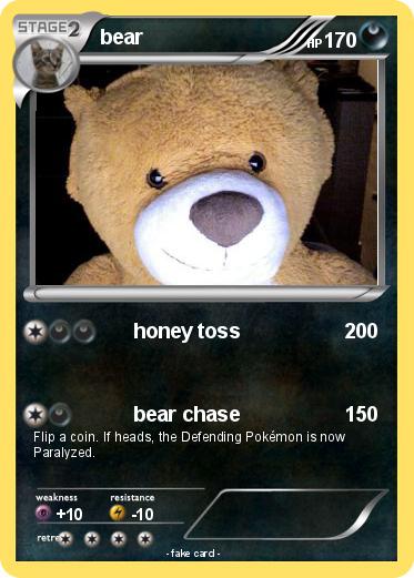 Pokemon bear