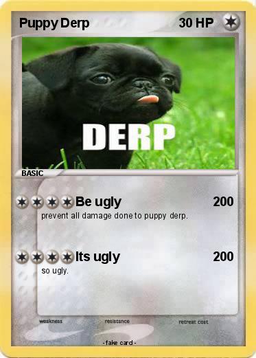 Pokemon Puppy Derp