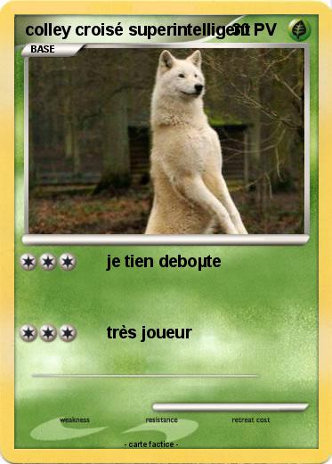 Pokemon colley croisé superintelligent