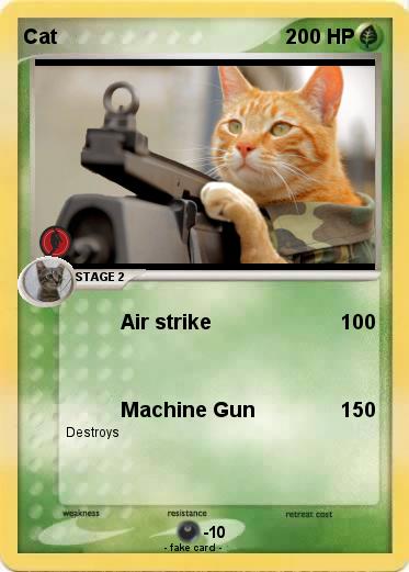Pokemon Cat