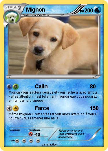 Pokemon Mignon