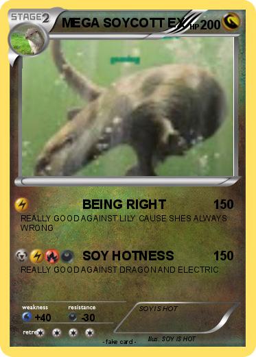 Pokemon MEGA SOYCOTT EX