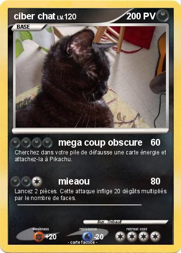 Pokemon ciber chat