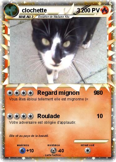 Pokemon clochette                   3
