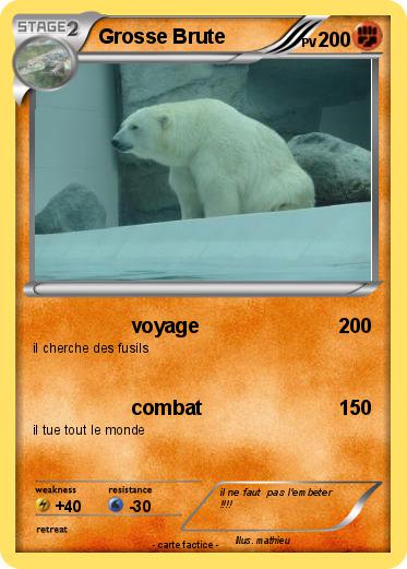 Pokemon Grosse Brute