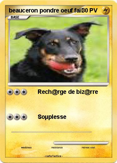 Pokemon beauceron pondre oeuf fail