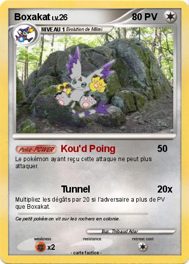Pokemon Boxakat