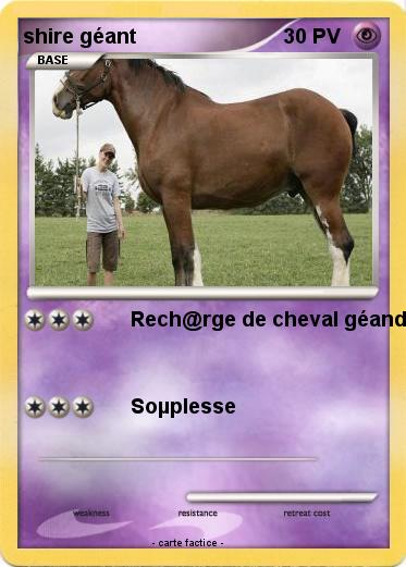 Pokemon shire géant
