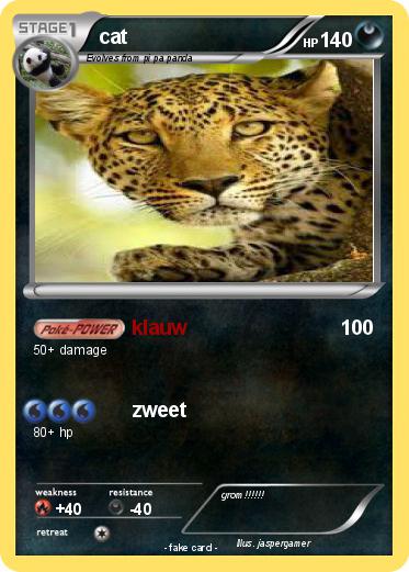 Pokemon cat