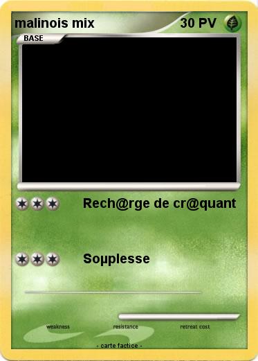 Pokemon malinois mix