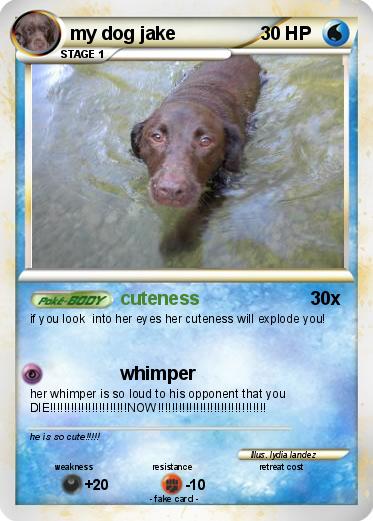 Pokemon my dog jake