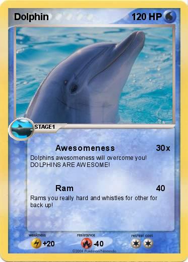 Pokemon Dolphin