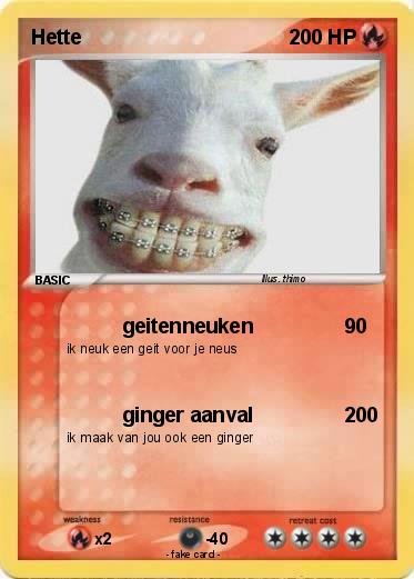Pokemon Hette
