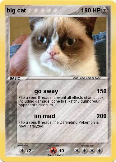 Pokemon big cat