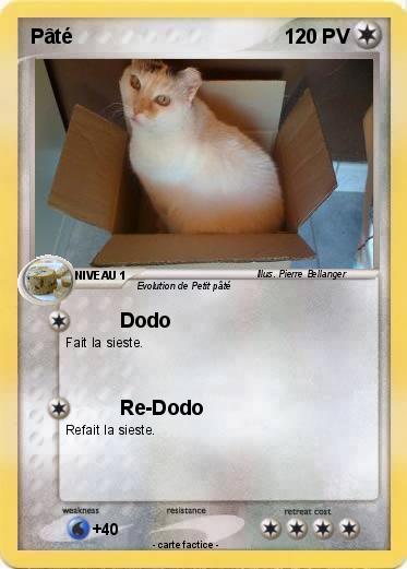 Pokemon Pâté