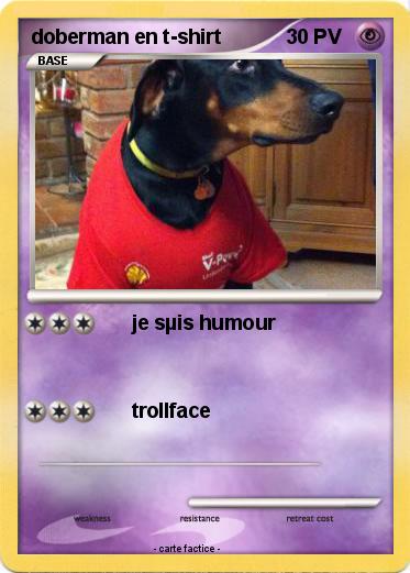 Pokemon doberman en t-shirt