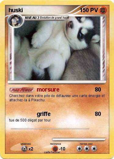 Pokemon huski