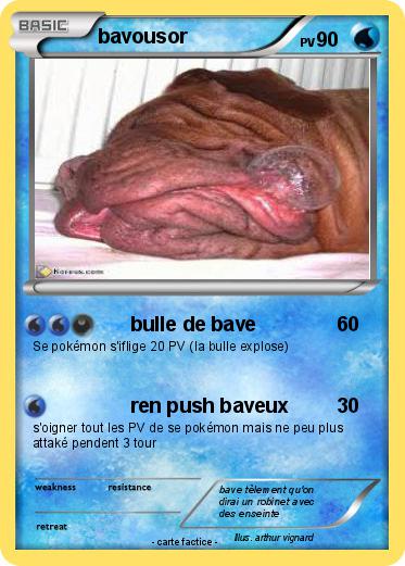Pokemon bavousor