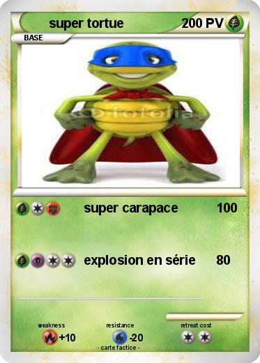 Pokemon super tortue