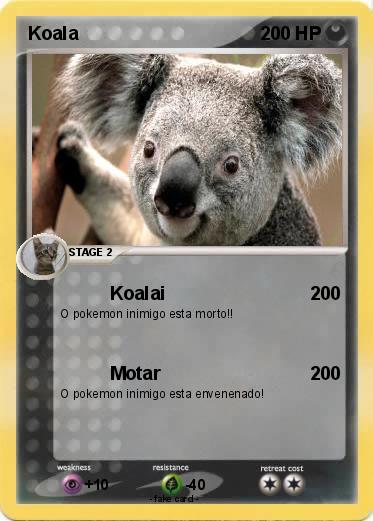 Pokemon Koala