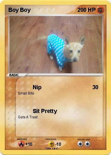 Pokemon Boy Boy