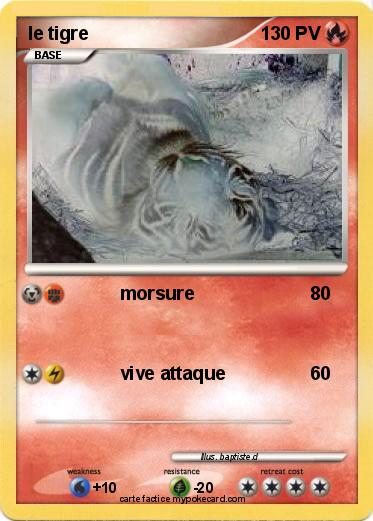 Pokemon le tigre