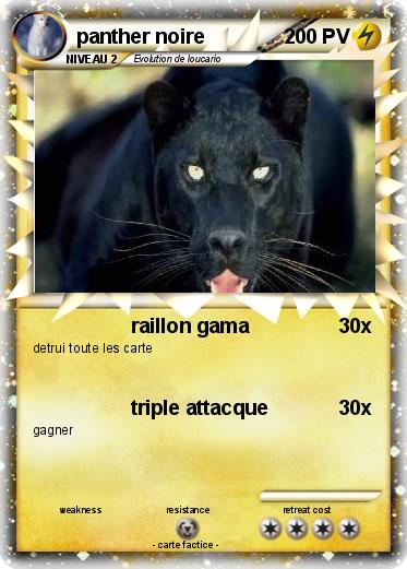 Pokemon panther noire