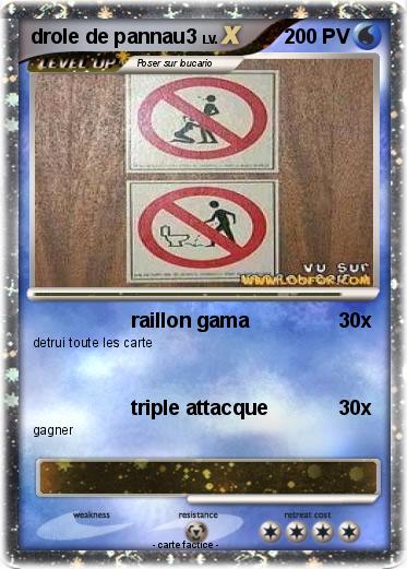 Pokemon drole de pannau3