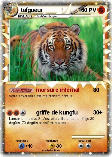 Pokemon taÏgueur