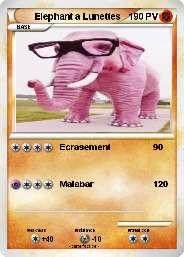 Pokemon Elephant a Lunettes