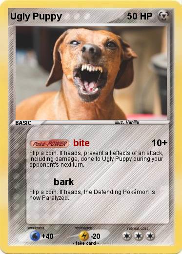 Pokemon Ugly Puppy