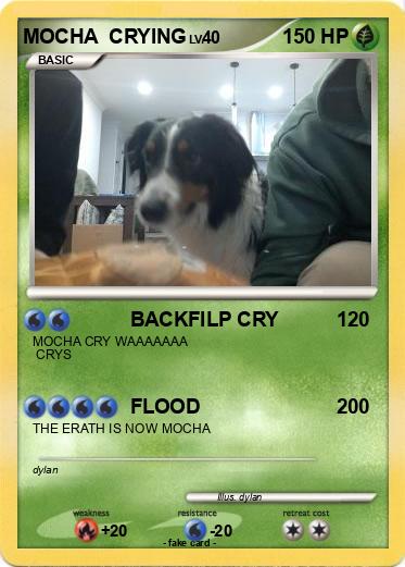 Pokemon MOCHA  CRYING